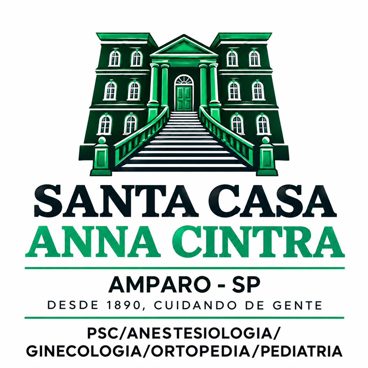 Emblema Institucional Santa Casa Anna Cintra